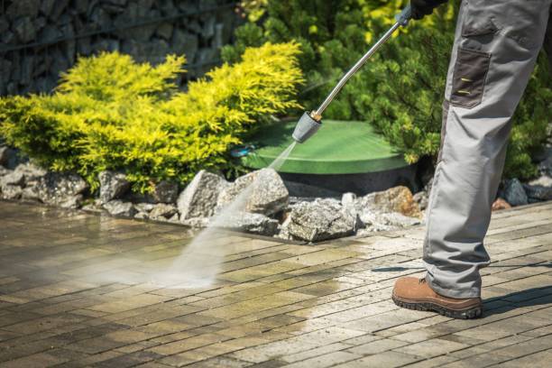 Best House Exterior Washing  in Livingston, TN