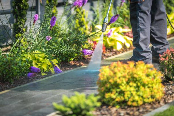 Best Gutter Cleaning  in Livingston, TN